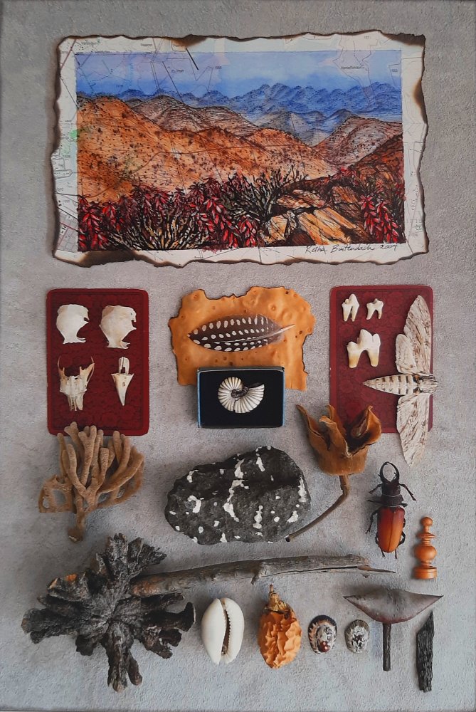 Retha Buitendach - Curiosity Cabinet 7